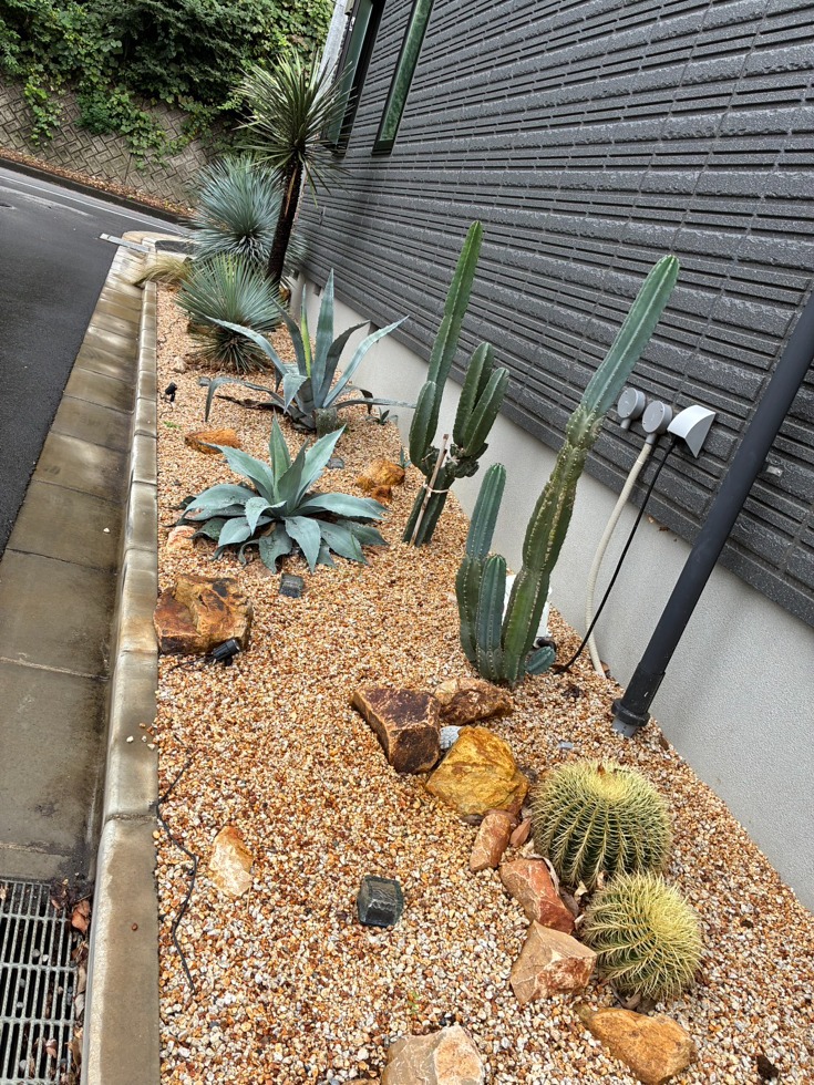 ホームページ６